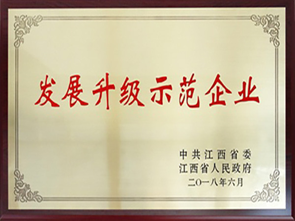 發(fā)展升級(jí)示范企業(yè)201806